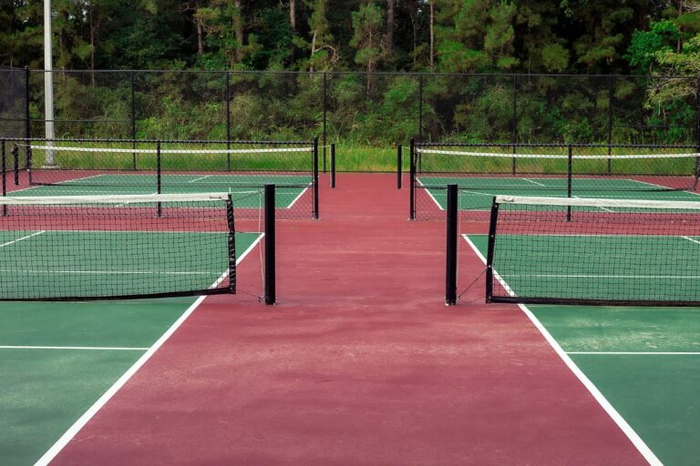 7 Best Pickleball Courts In Los Angeles To Visit Today Pickleball Hotspot